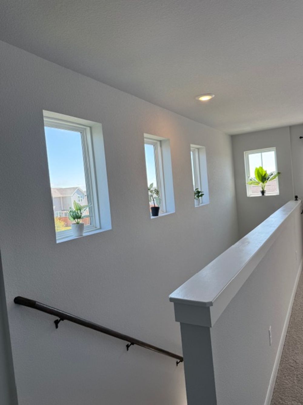 Alice Jay Wy, Round Rock TX 78665 on Alcove