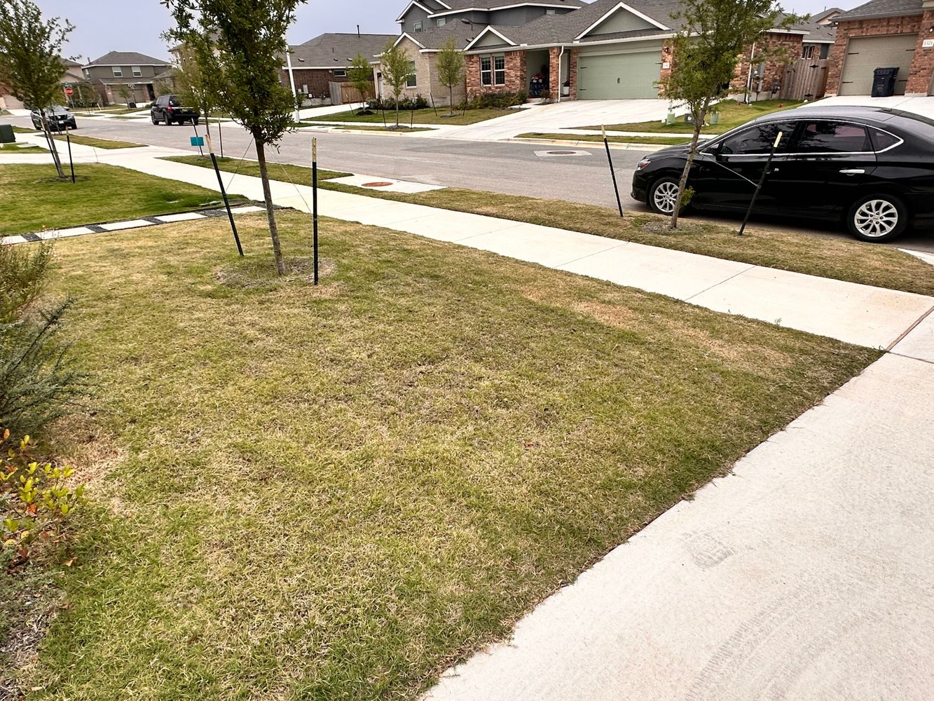 Pickerel St, Leander TX 78641 on Alcove
