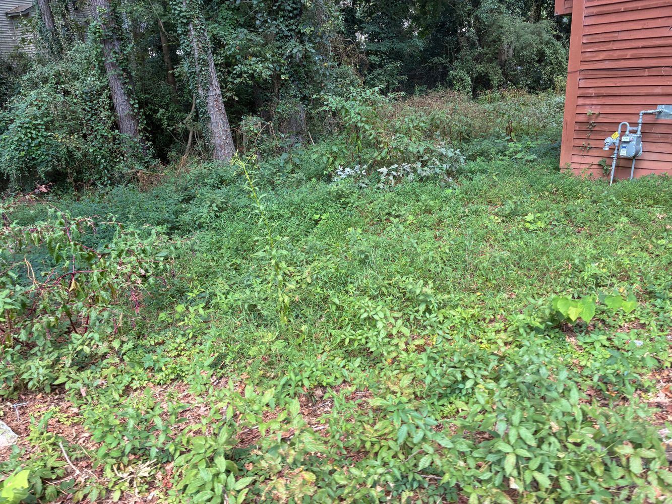 Terrace Trail, Decatur GA 30035 on Alcove