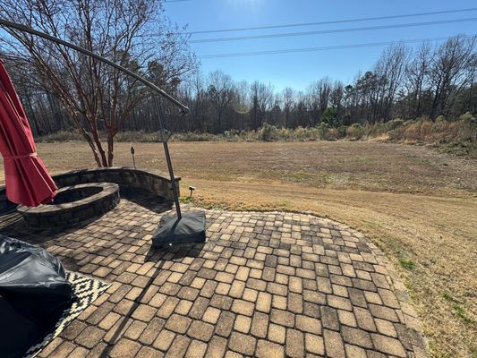 Green Birch Dr listing photo