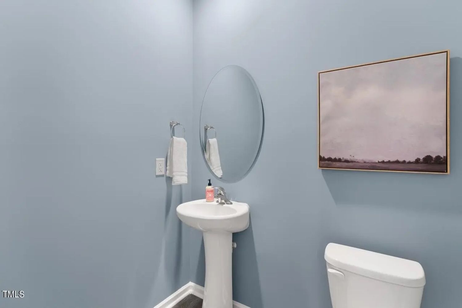 Tucana St, Wendell NC 27591 on Alcove