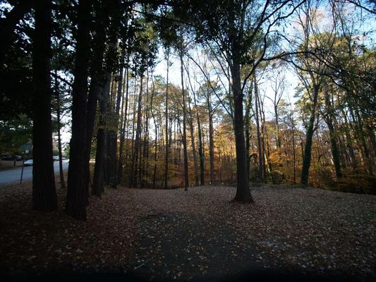 Dixon Dr, Raleigh, NC listing photo