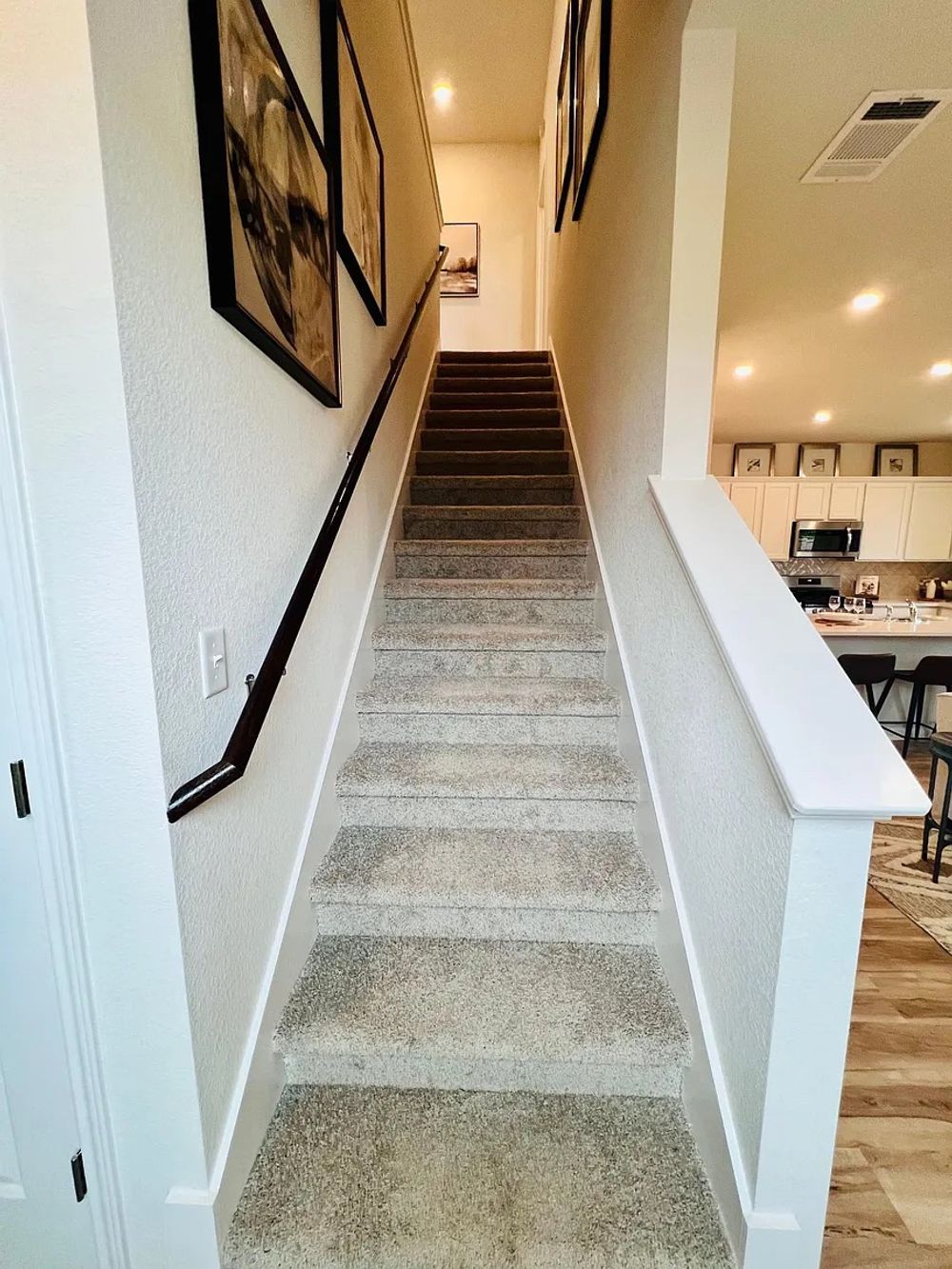 Cowbird Path, Pflugerville TX 78660 on Alcove