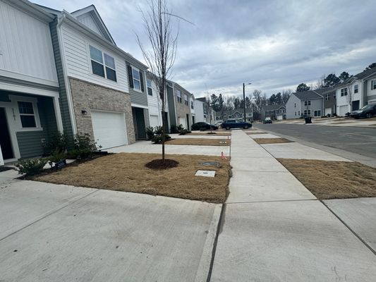 Primo Dr, Durham, NC listing photo