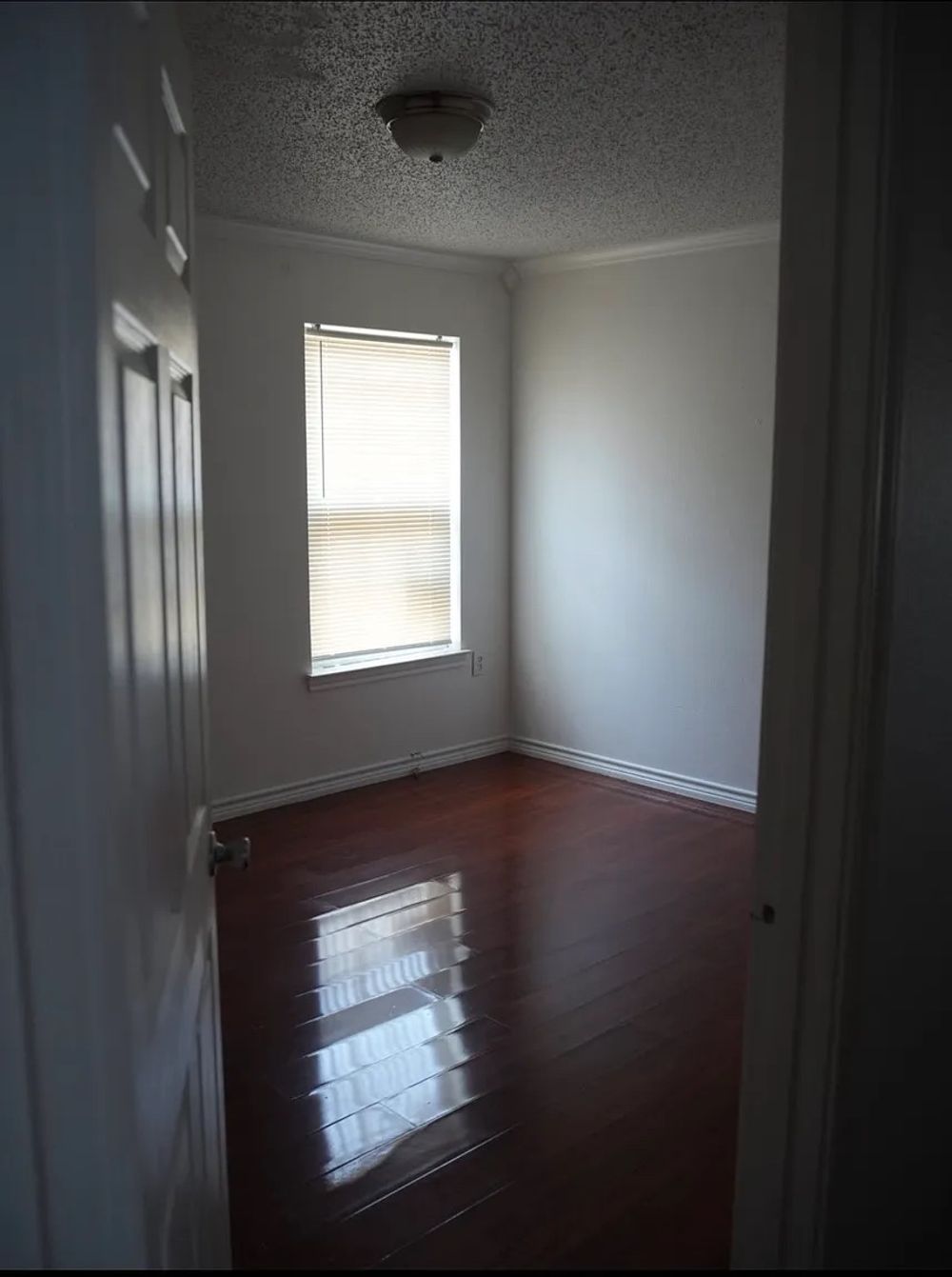 Jenny Dale Dr, Dallas TX 75212 on Alcove