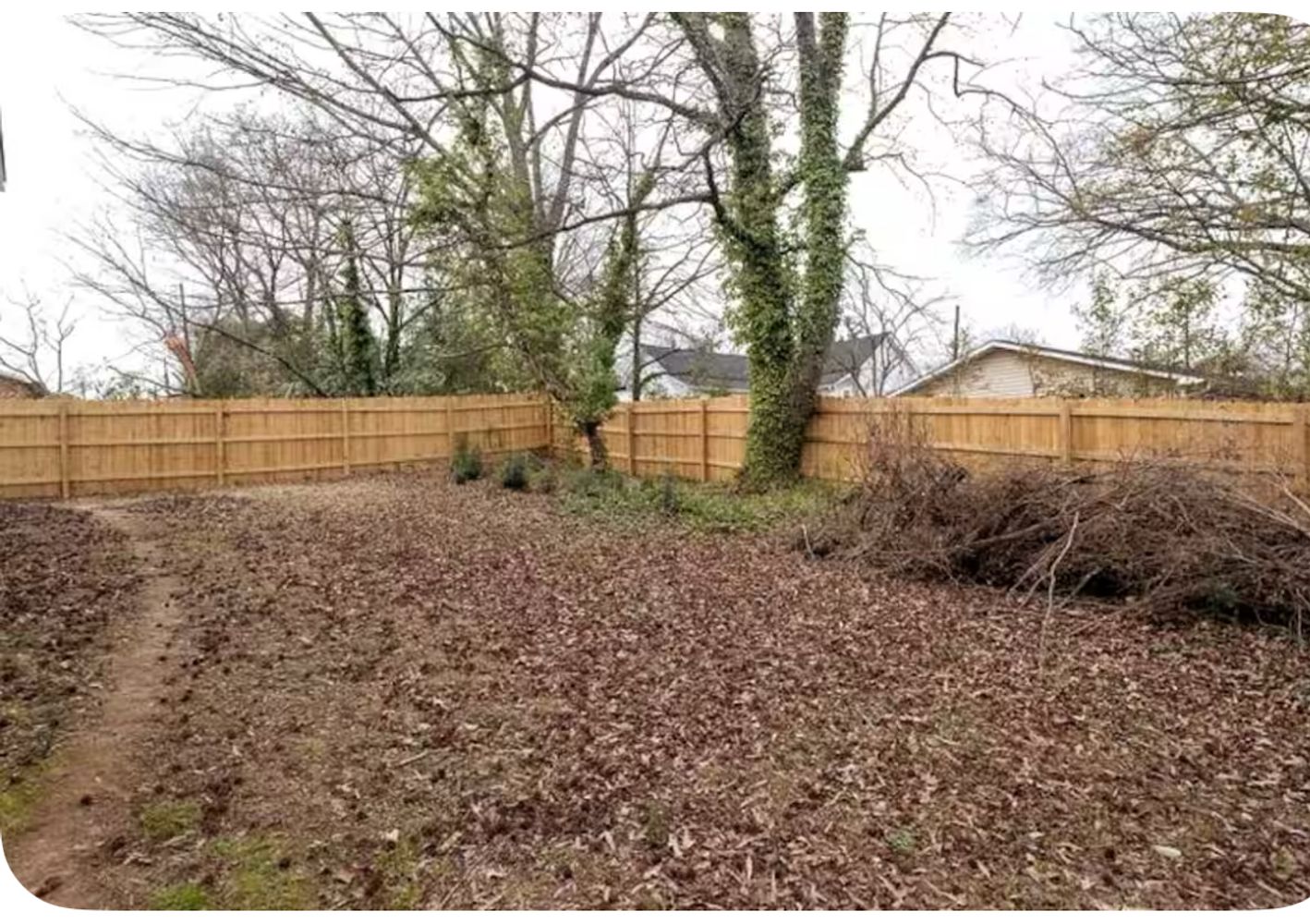 Liberty St, Durham NC 27701 on Alcove