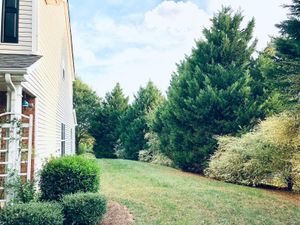 Summergrove Ct, Matthews NC 28105 on Alcove