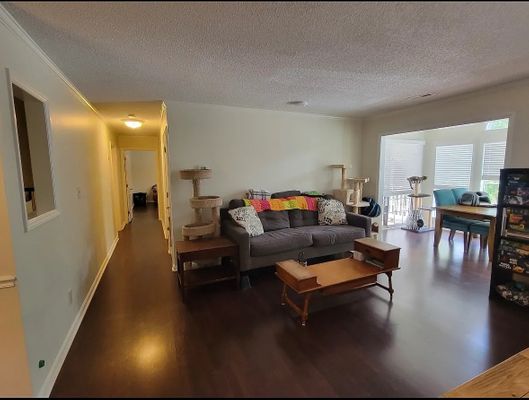 Balfour Rd listing photo