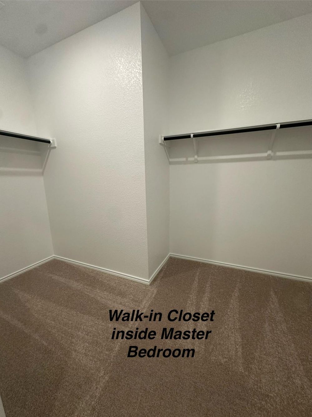 Pickerel St, Leander TX 78641 on Alcove