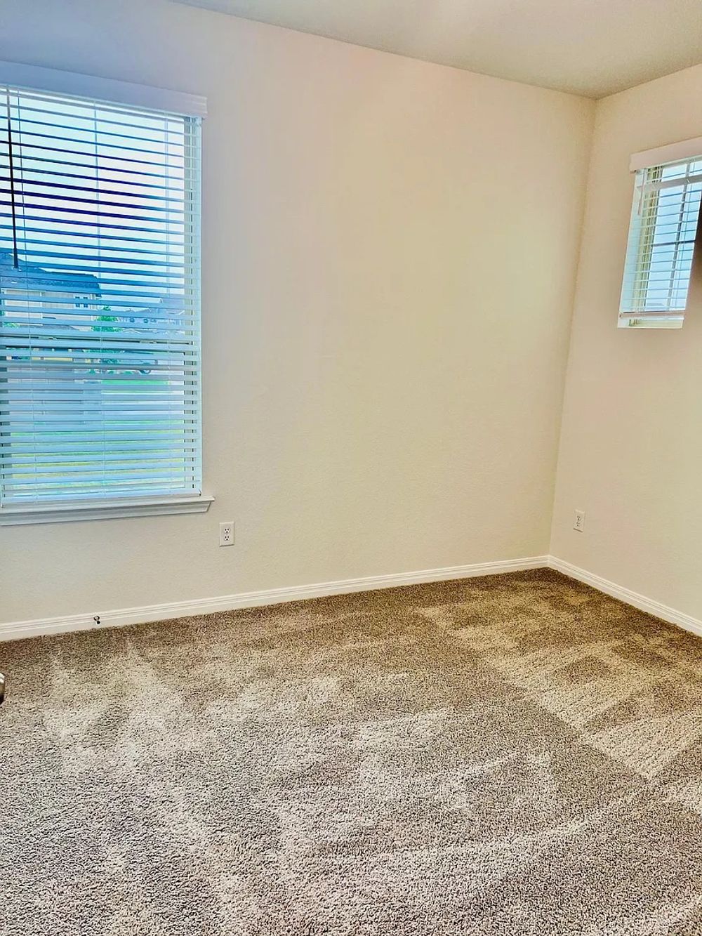 Cowbird Path, Pflugerville TX 78660 on Alcove