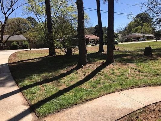 Georgia Ave listing photo