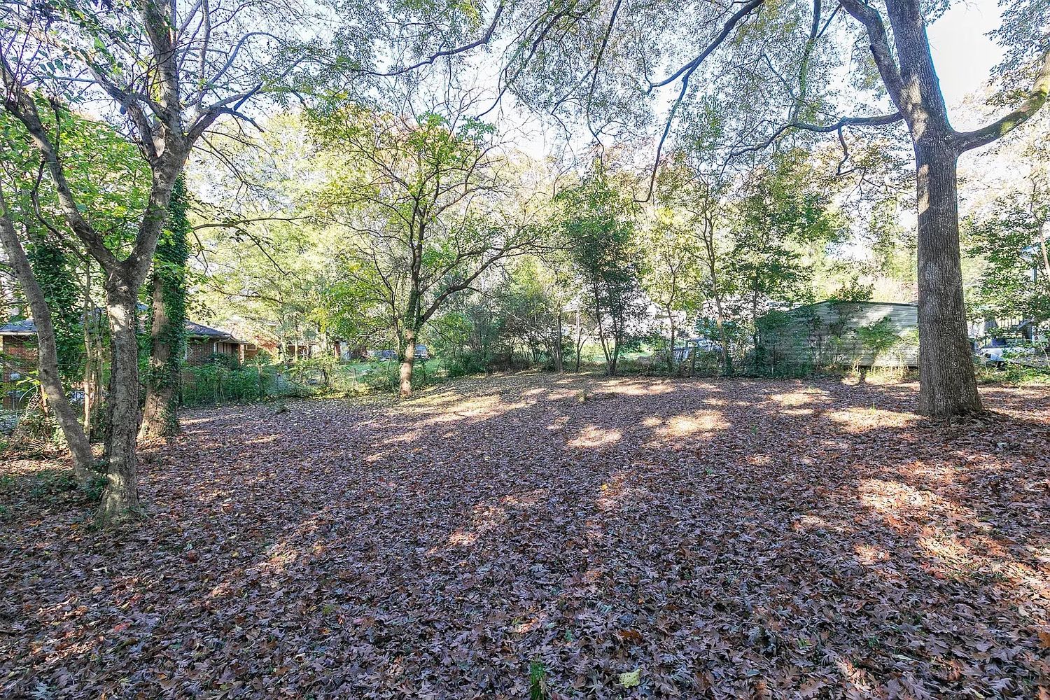 Browns Mill Rd SE, Atlanta GA 30315 on Alcove