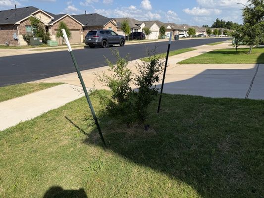 Brooklyn Dr, Georgetown, TX listing photo