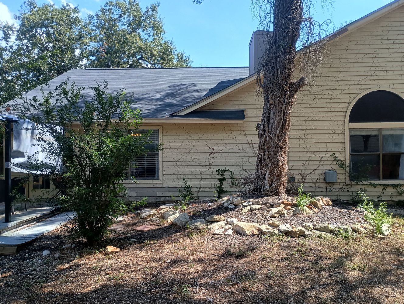 Sunlit Grove, San Antonio TX 78247 on Alcove