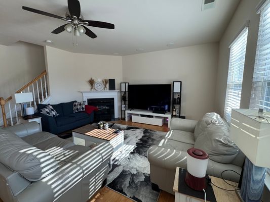 Green Birch Dr listing photo