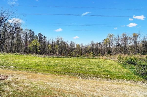 Green Birch Dr listing photo