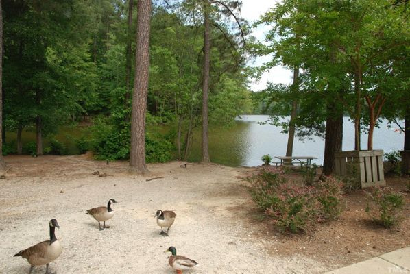 University Ct, Raleigh, NC listing photo