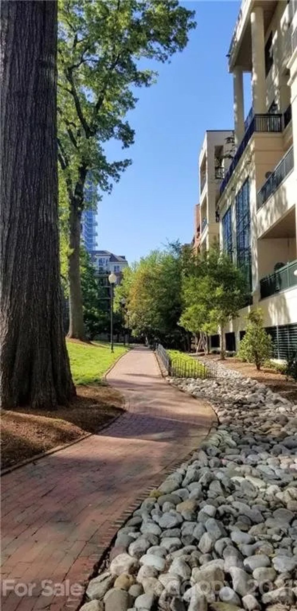 N Poplar St, Charlotte NC 28202 on Alcove