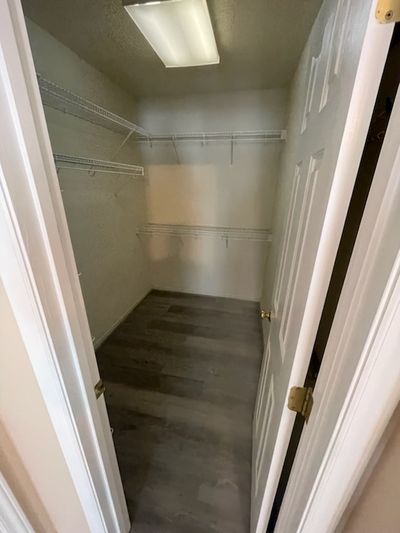 Daingerfield Dr, Raleigh, NC listing photo
