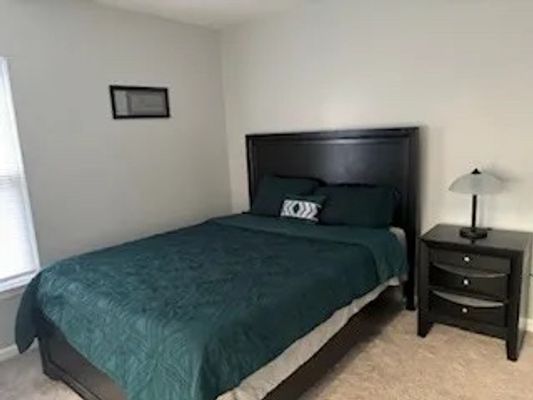 Milpass Dr, Holly Springs, NC listing photo