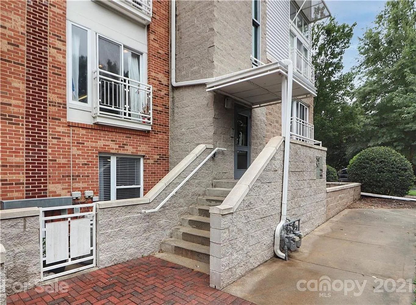 Donatello Avenue, Charlotte NC 28205 on Alcove