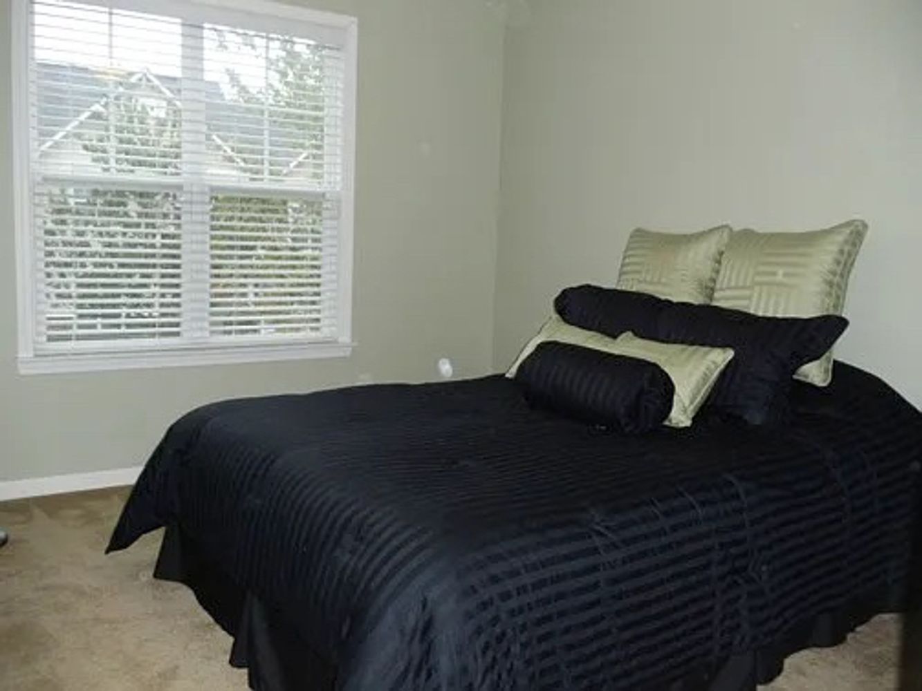 McGoogan Ln, Charlotte NC 28277 on Alcove