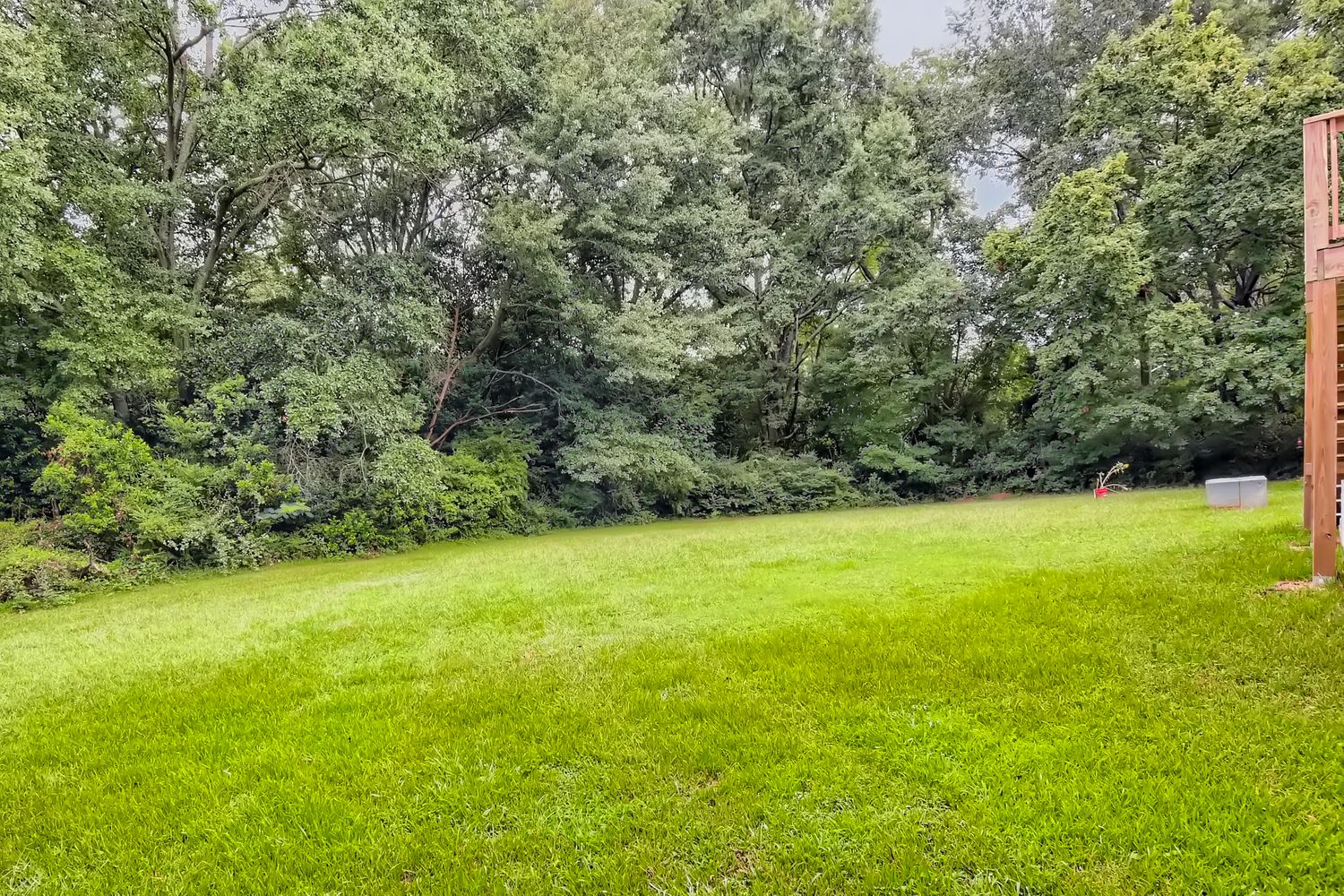 Cleveland St, McDonough GA 30253 on Alcove