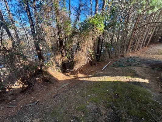 Linden Park Ln listing photo