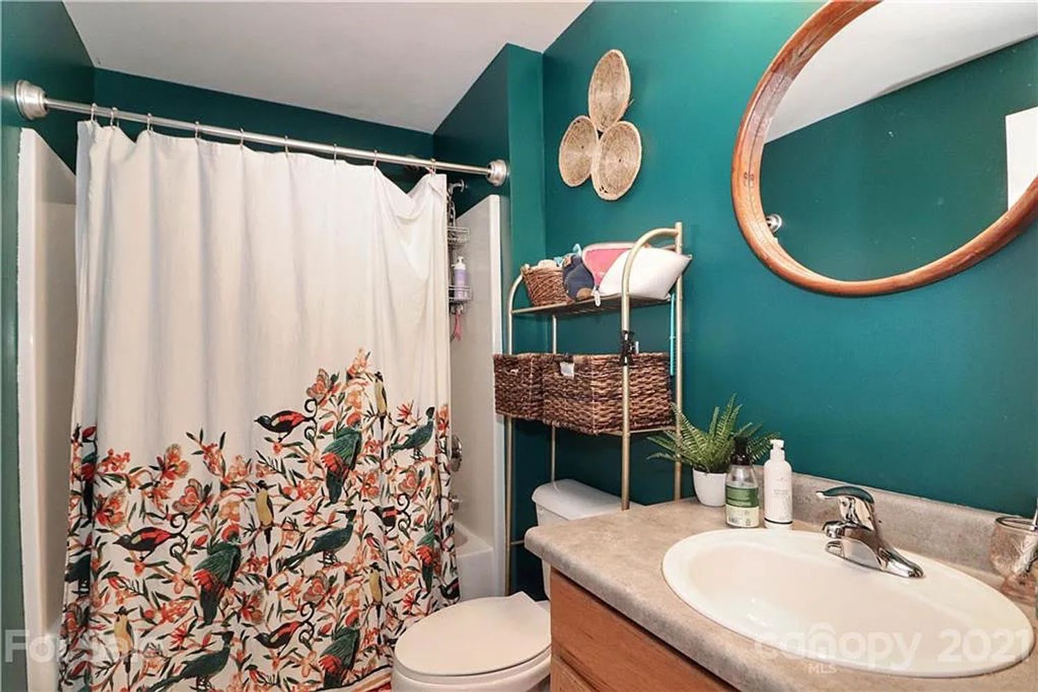 Donatello Avenue, Charlotte NC 28205 on Alcove
