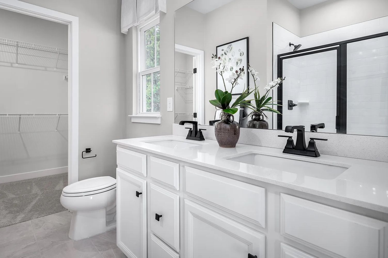 Coquina Ln, Charlotte NC 28206 on Alcove