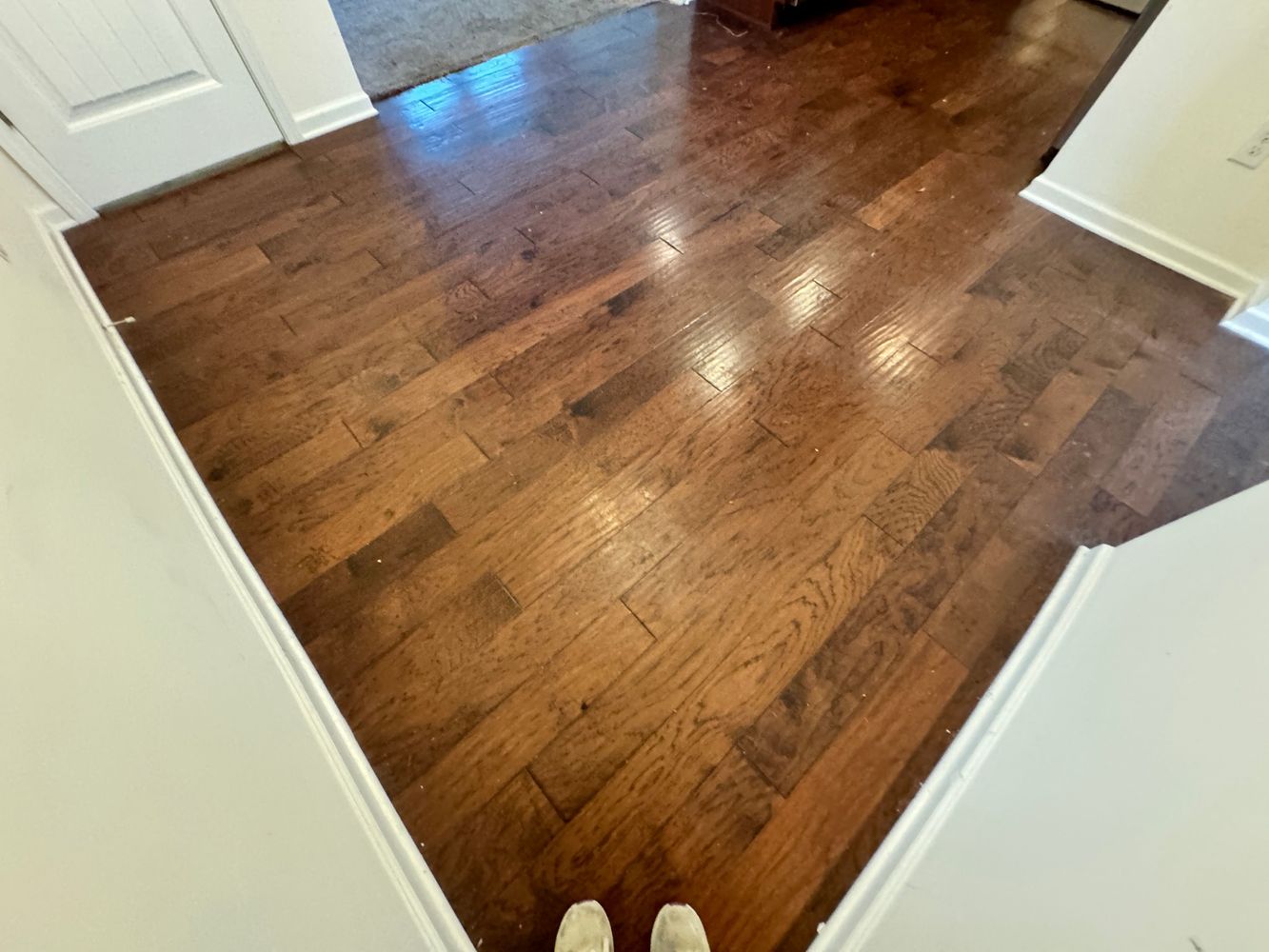 Warm Springs Ln, Raleigh NC 27610 on Alcove