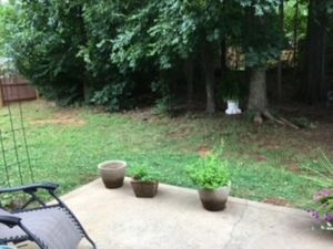 Baxter Caldwell Dr, Charlotte NC 28213 on Alcove