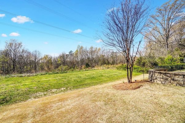 Green Birch Dr listing photo
