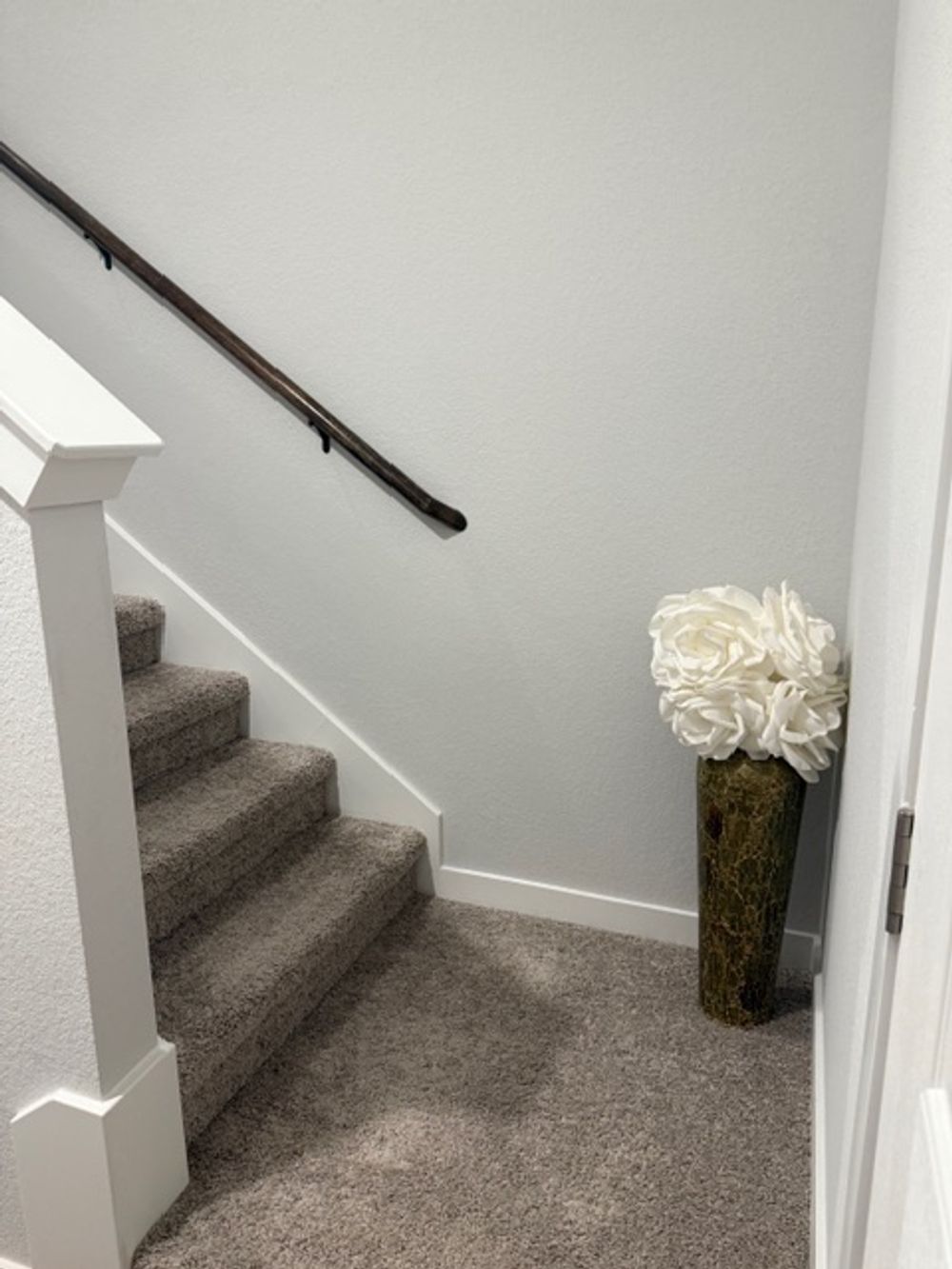 Alice Jay Wy, Round Rock TX 78665 on Alcove