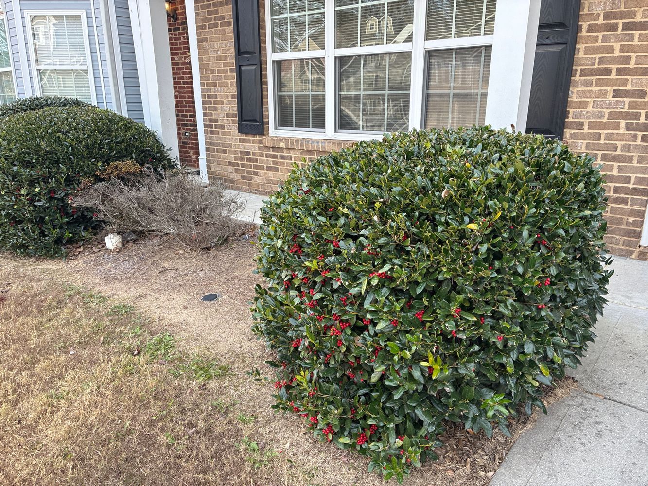Olmadison Pl, Atlanta GA 30349 on Alcove