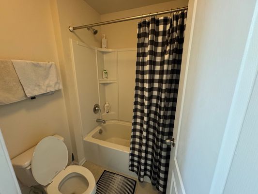 Green Birch Dr listing photo