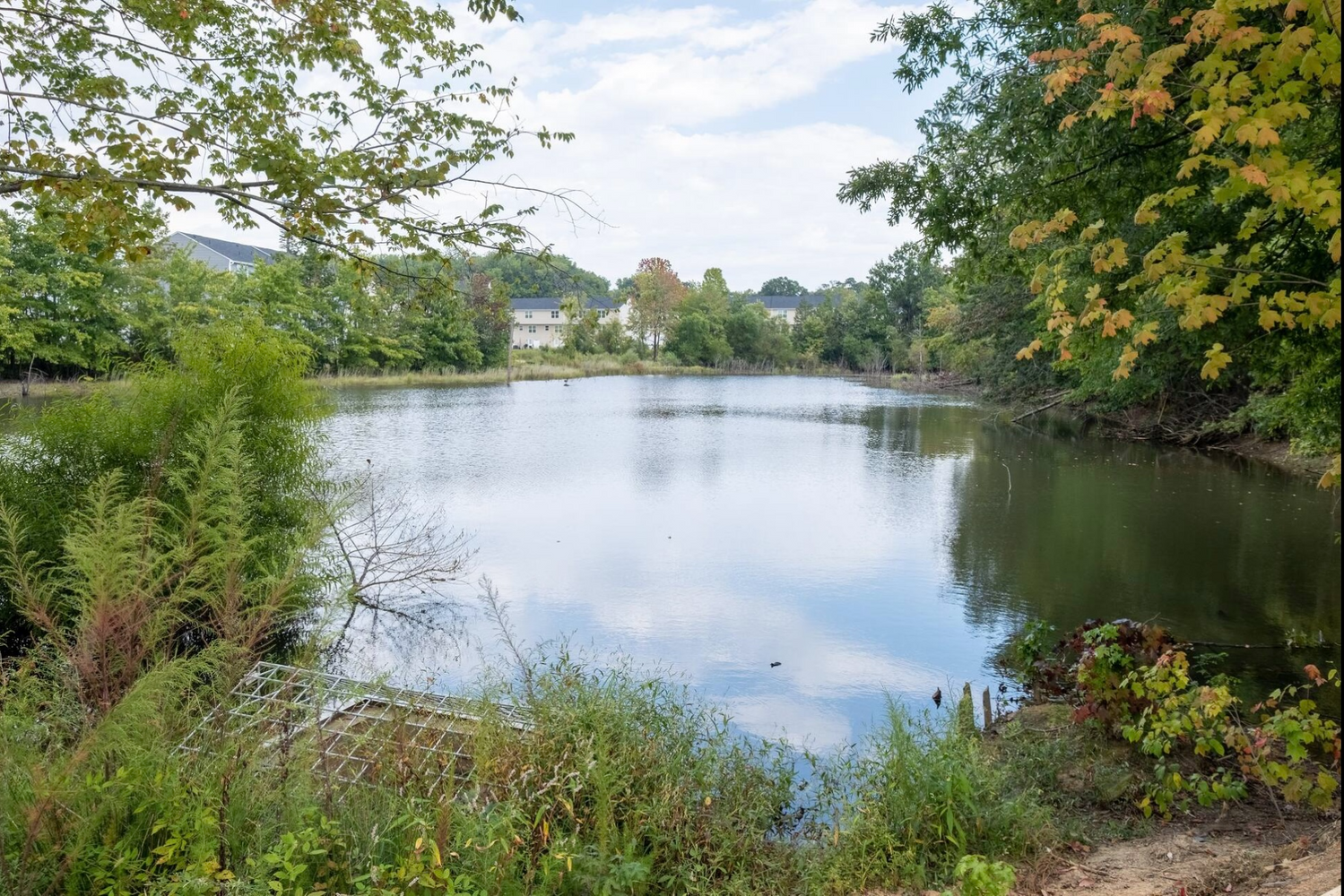 Skipjack Ln, Charlotte NC 28269 on Alcove