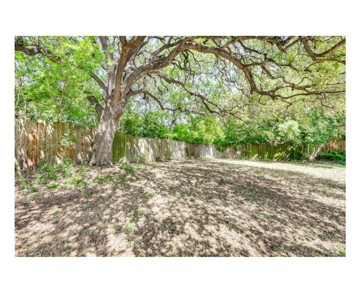Sunlit Grove, San Antonio TX 78247 on Alcove