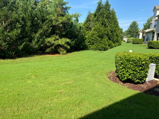 Sangre De Cristo Dr, Durham, NC listing photo
