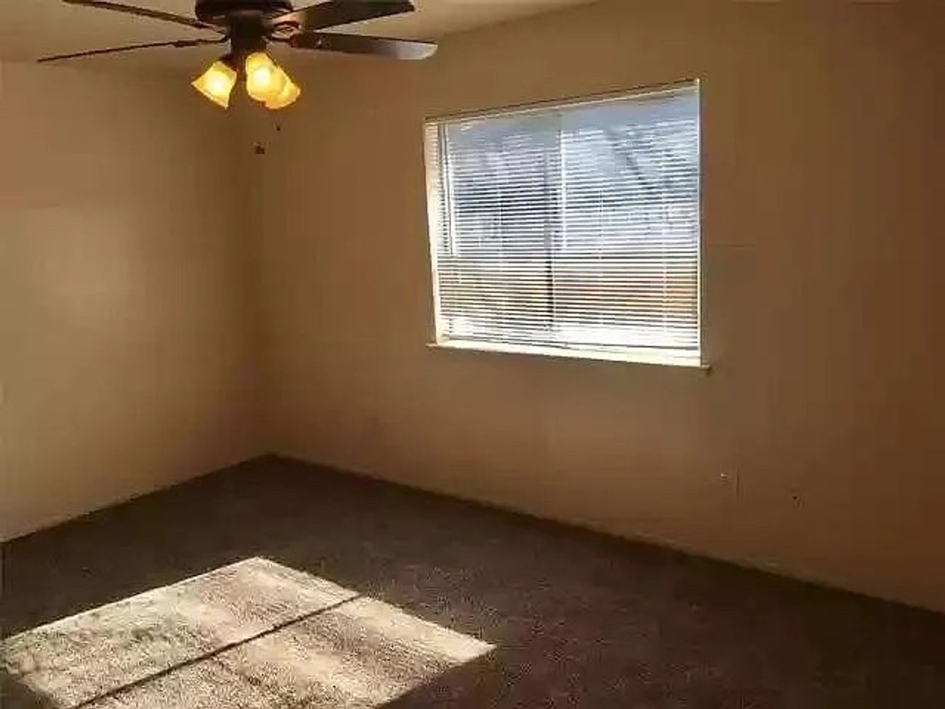 Laramie St, Irving TX 75062 on Alcove