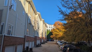 N Davidson St, Charlotte NC 28205 on Alcove