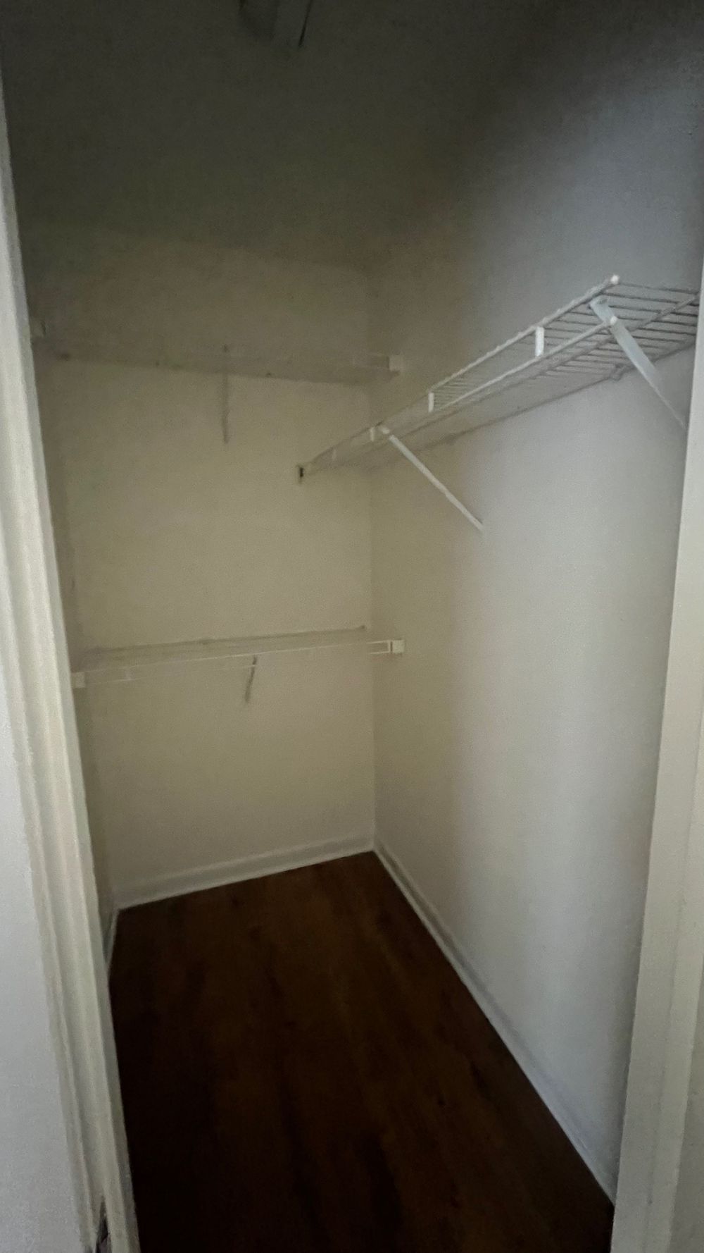 Collegiate Cir, Raleigh NC 27606 on Alcove