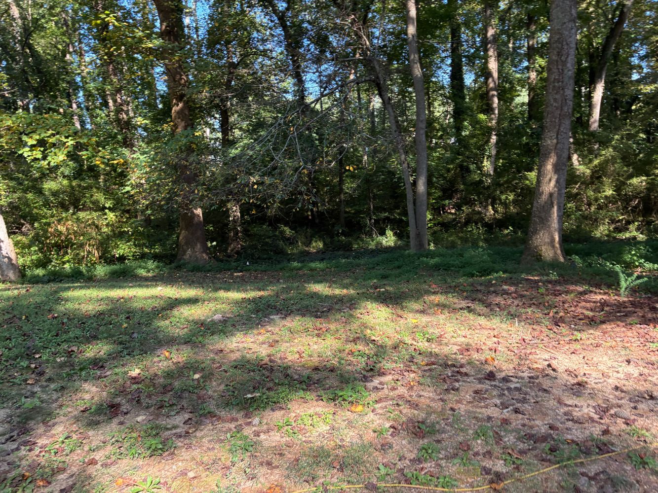 Wedgewood Dr, Alpharetta GA 30009 on Alcove