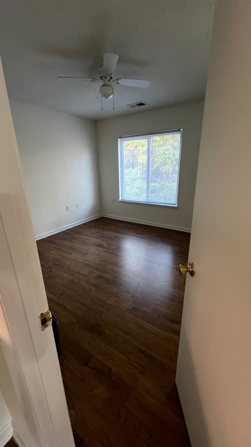 Collegiate Cir, Raleigh NC 27606 on Alcove