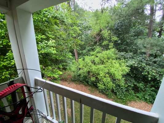 Sunpointe Dr listing photo