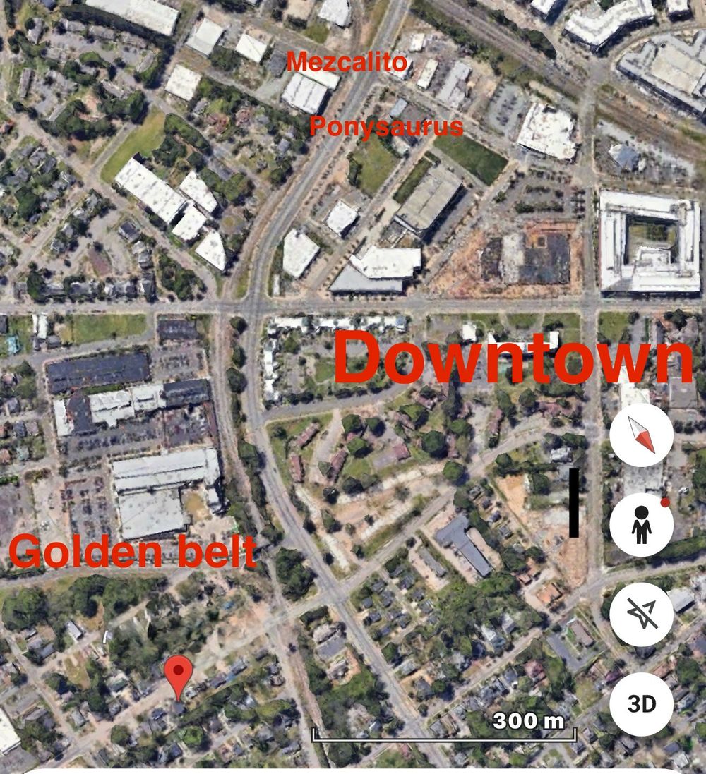 Liberty St, Durham NC 27701 on Alcove