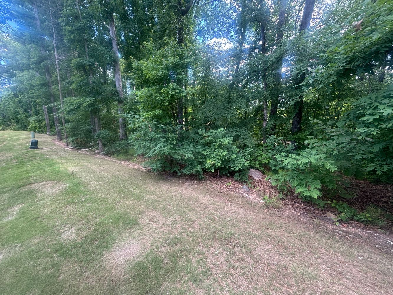 Romeria Dr, Durham NC 27713 on Alcove