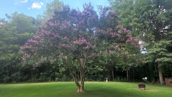 Mineral Springs Rd, Charlotte NC 28262 on Alcove