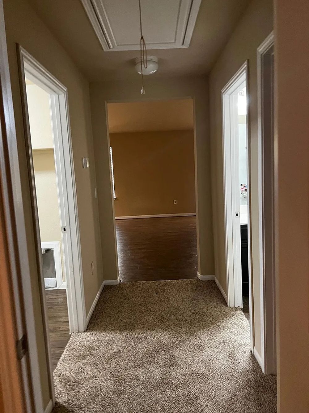 Riparian Rd, Manor TX 78653 on Alcove